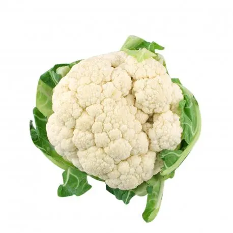 Κουνουπίδι Ελλάδος