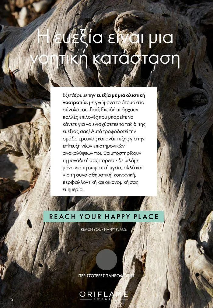 Φυλλάδιο προσφορών ΚΑΤΑΛΟΓΟΣ 10 2024 (11/07 – 31/07) από 11 Ιουλίου έως 31 Ιουλίου 2024 - Σελίδα 2