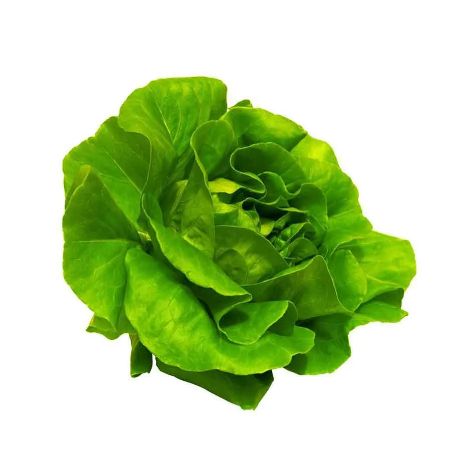 Σαλάτα Ελληνική Α΄ Ποιότητα