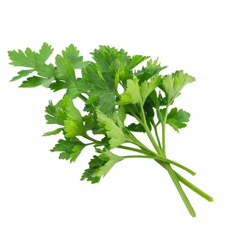 Μαιντανός Ελληνικός Ποιότητα Α΄ 100gr