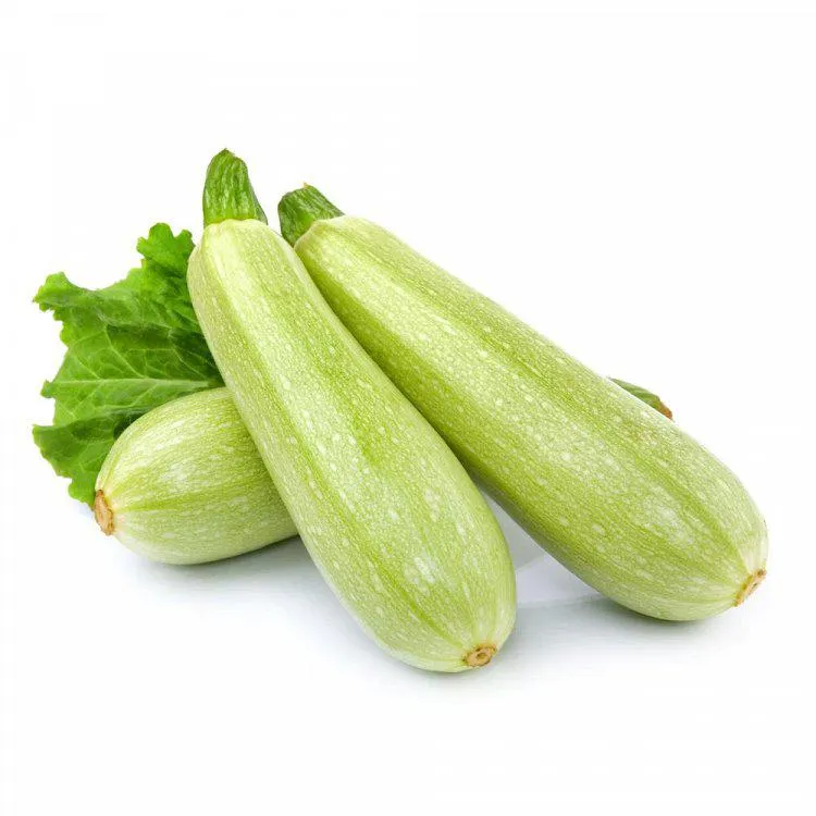 Κολοκύθια Ελληνικά Τιμή Κιλού