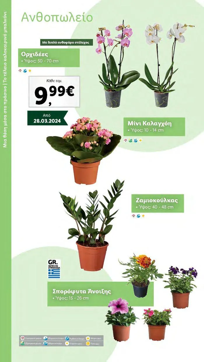 Φυλλάδιο προσφορών Το αγαπημένο σου μέρος στο πράσινο από 2 Απριλίου έως 28 Οκτωβρίου 2024 - Σελίδα 31