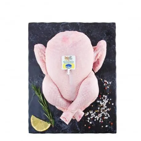 ΑΓΓΕΛΑΚΗΣ ΚΟΤΟΠΟΥΛΟ ΟΛΟΚΛΗΡΟ ΝΩΠΟ ΧΥΜΑ