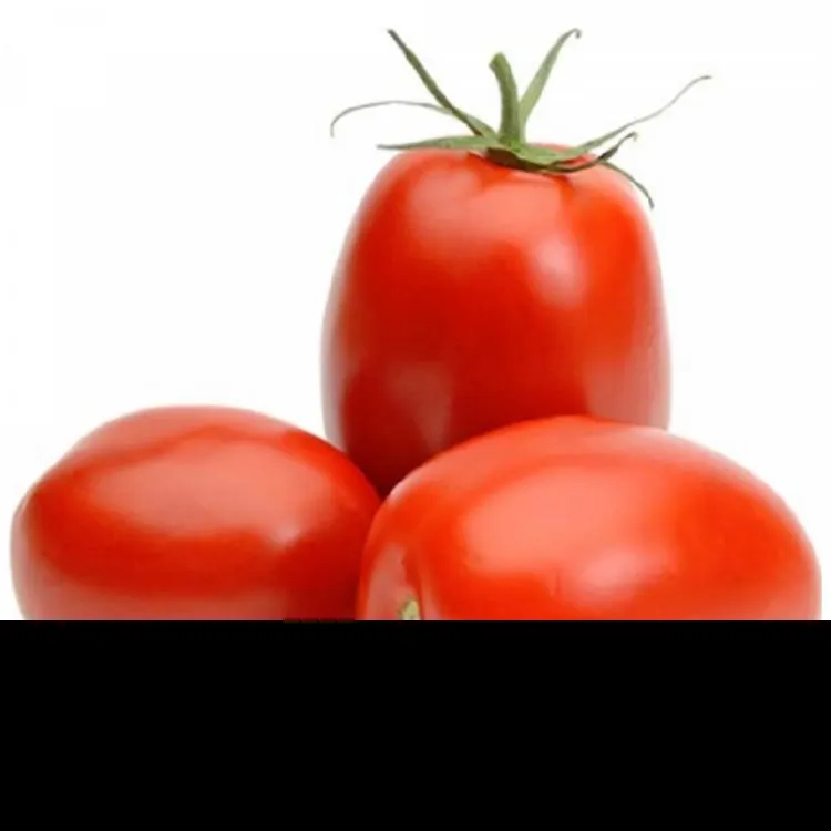 Τομάτες Κομιντόρια Ελληνικά Ποιότητα Α΄ Τιμή Κιλού