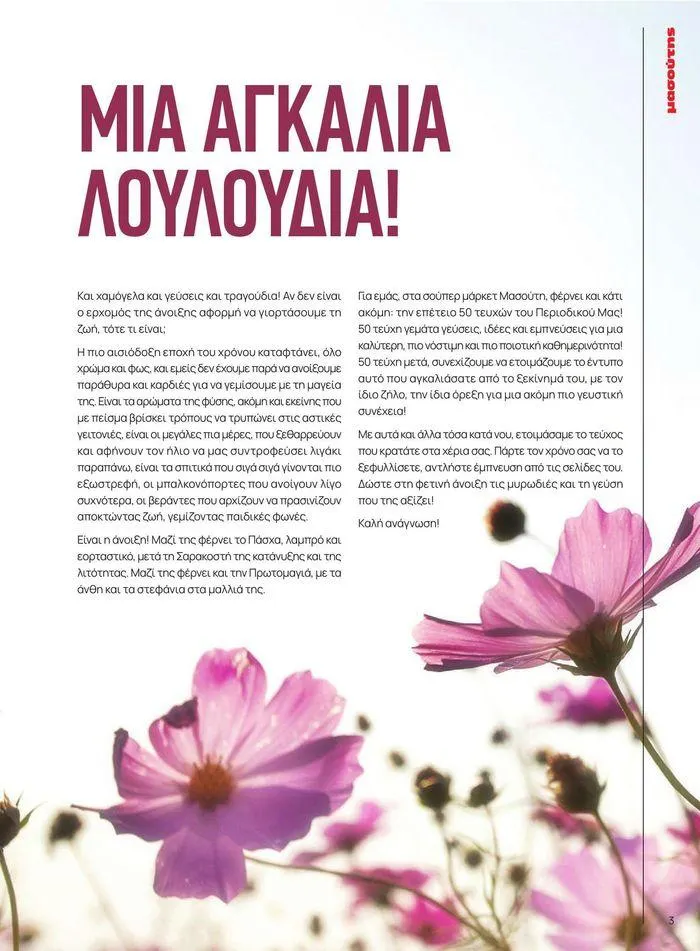 Φυλλάδιο προσφορών ΤΟ ΠΕΡΙΟΔΙΚΟ #50μας από 15 Απριλίου έως 31 Δεκεμβρίου 2024 - Σελίδα 26
