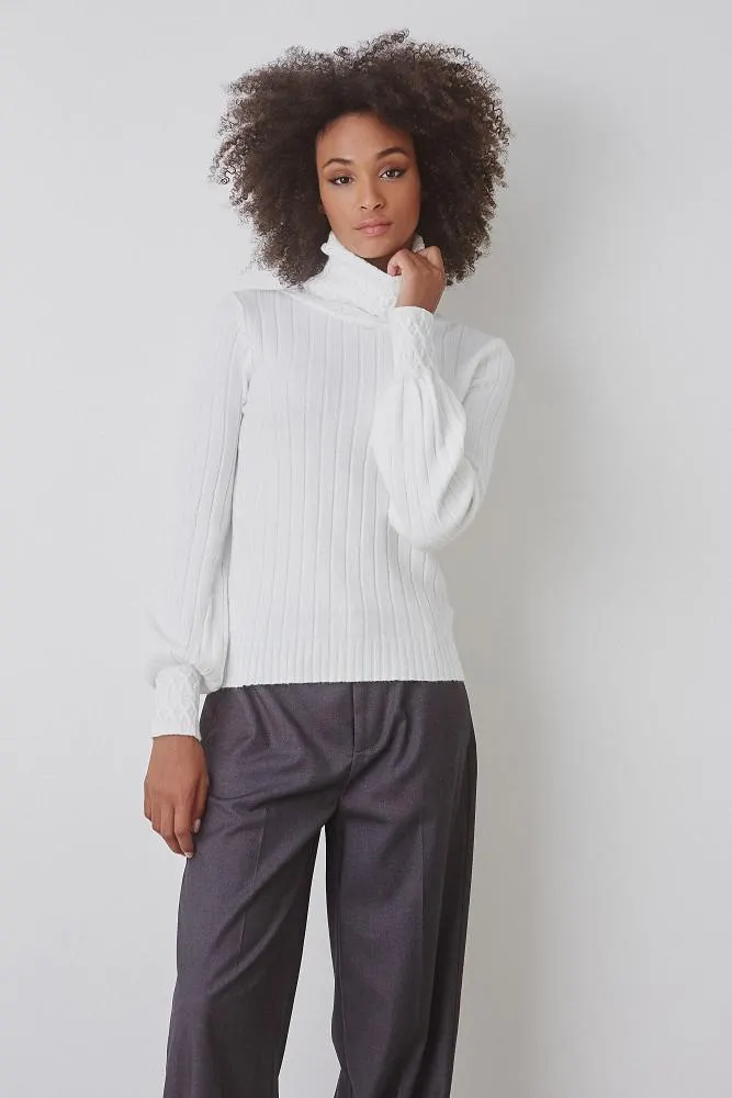 Ribbed turtleneck sweater
