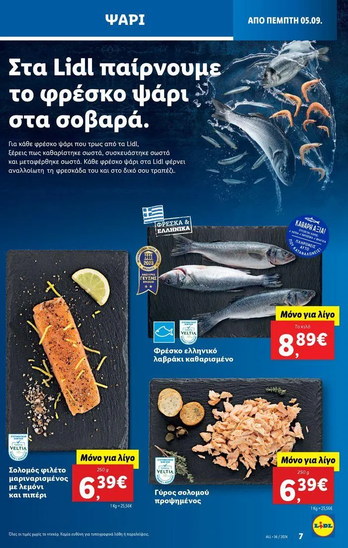 Φυλλάδιο προσφορών Φυλλάδιο Lidl - Food & Nonfood από 5 Σεπτεμβρίου έως 11 Σεπτεμβρίου 2024 - Σελίδα 7