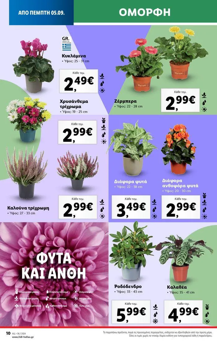 Φυλλάδιο προσφορών Φυλλάδιο Lidl - Food & Nonfood από 5 Σεπτεμβρίου έως 11 Σεπτεμβρίου 2024 - Σελίδα 45