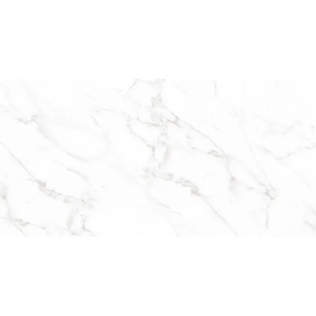 Duomo Blanco 60 x 120 Rectified