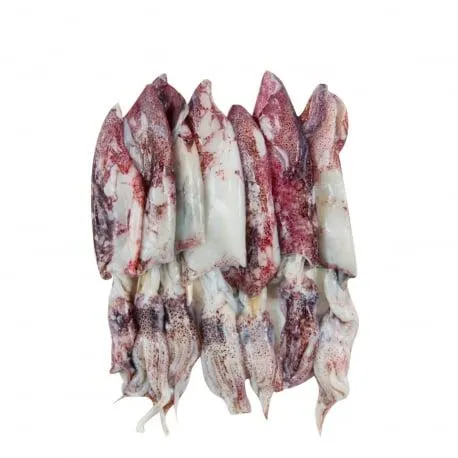 Καλαμαράκι mini νωπό χύμα - loligo vulgaris Ελλάδος