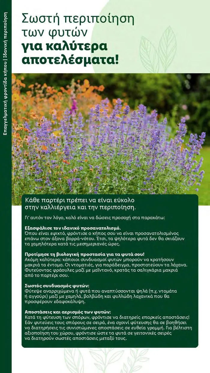 Φυλλάδιο προσφορών Το αγαπημένο σου μέρος στο πράσινο από 2 Απριλίου έως 28 Οκτωβρίου 2024 - Σελίδα 18