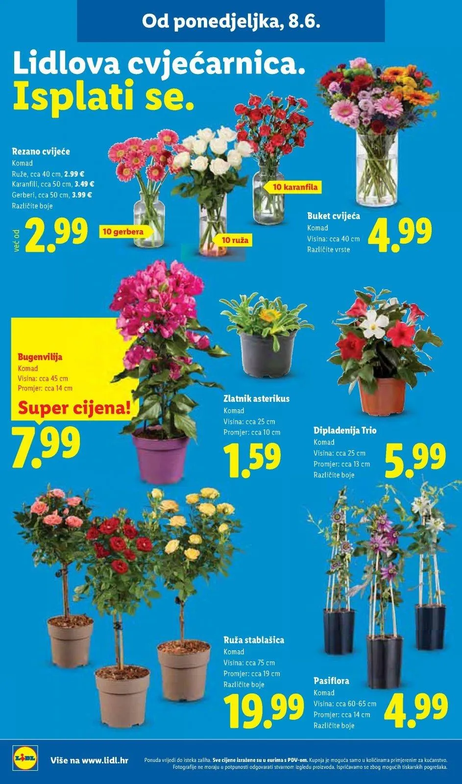 Katalog Lidl katalog do 14.06.2026 od 9. lipnja do 14. lipnja 2026. - Pregled Stranica 56