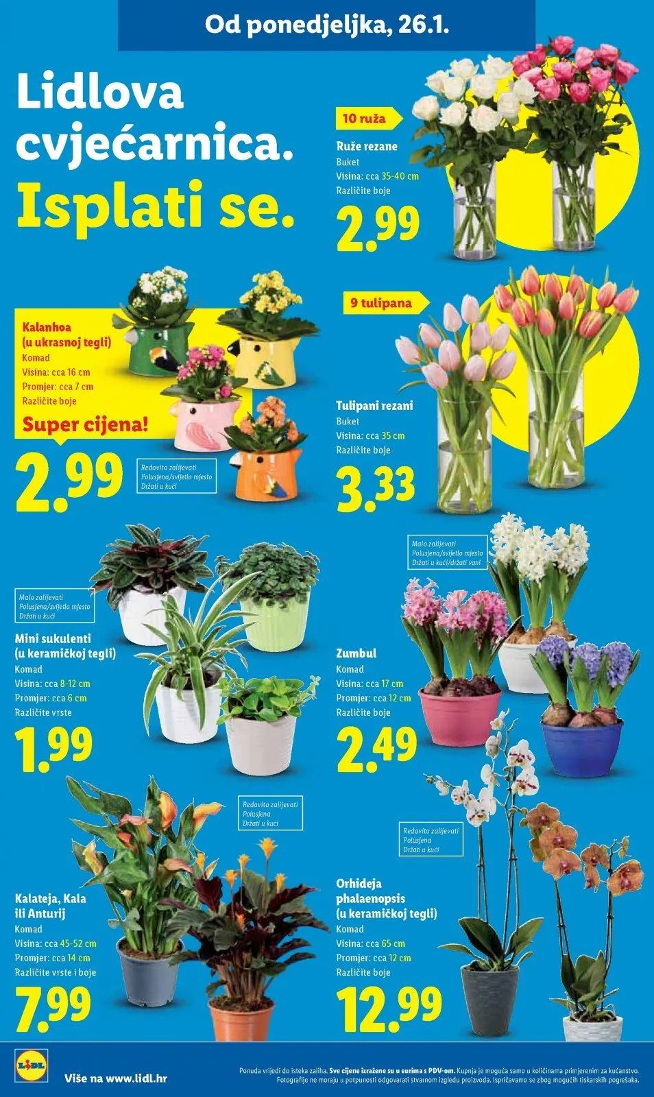 Katalog Lidl katalog do 01.02.2026 od 22. siječnja do 1. veljače 2026. - Pregled Stranica 38