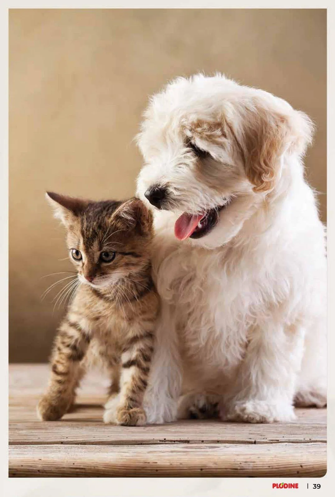 Katalog Plodine katalog do 10.03.2026 od 5. ožujka do 10. ožujka 2026. - Pregled Stranica 39