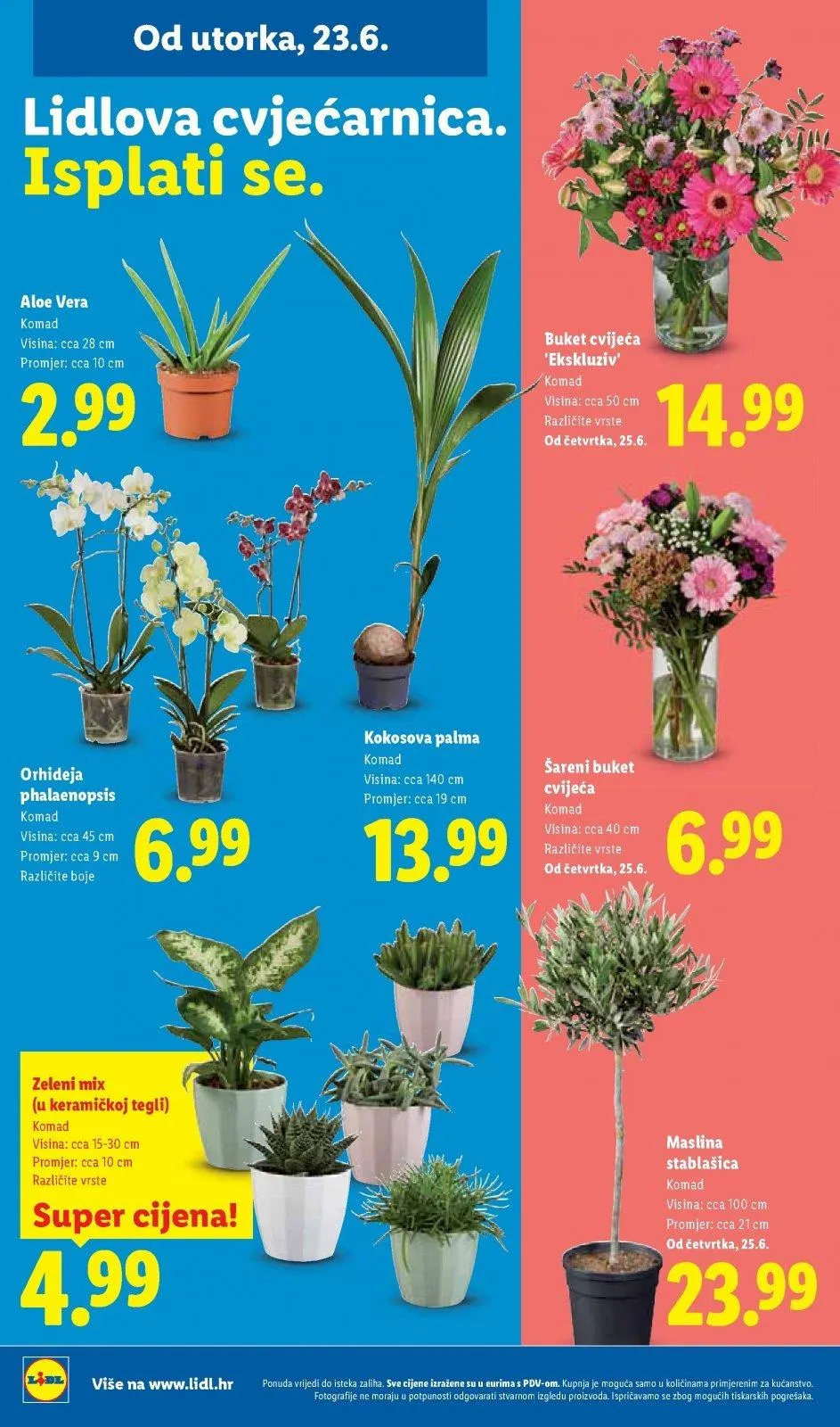 Katalog Lidl katalog do 28.06.2026 od 18. lipnja do 28. lipnja 2026. - Pregled Stranica 50