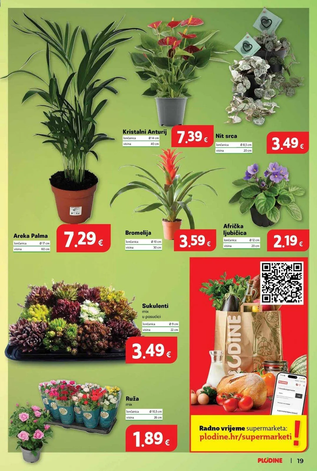 Katalog Plodine katalog do 20.01.2026 od 14. siječnja do 20. siječnja 2026. - Pregled Stranica 19