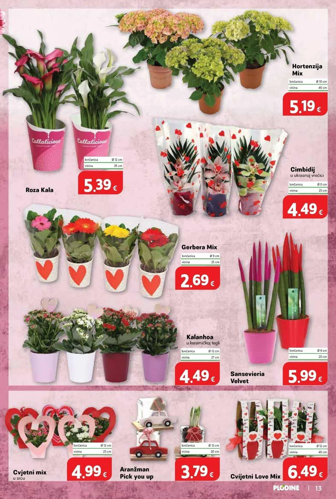 Katalog Plodine katalog do 10.03.2026 od 5. ožujka do 10. ožujka 2026. - Pregled Stranica 13