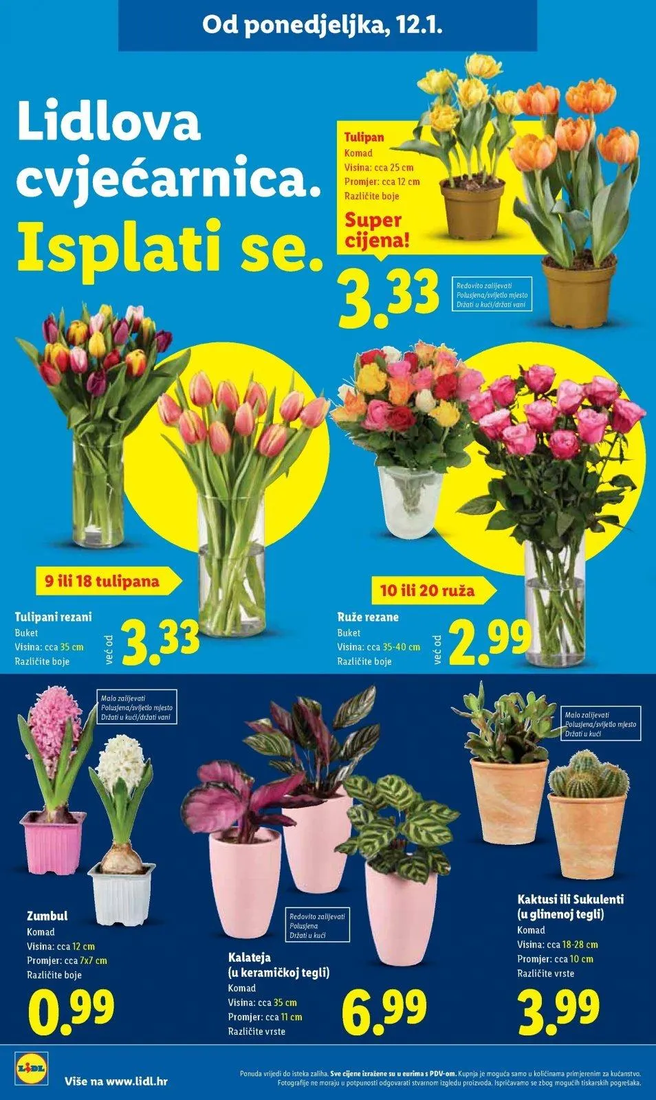 Katalog Lidl katalog do 18.01.2026 od 15. siječnja do 18. siječnja 2026. - Pregled Stranica 52