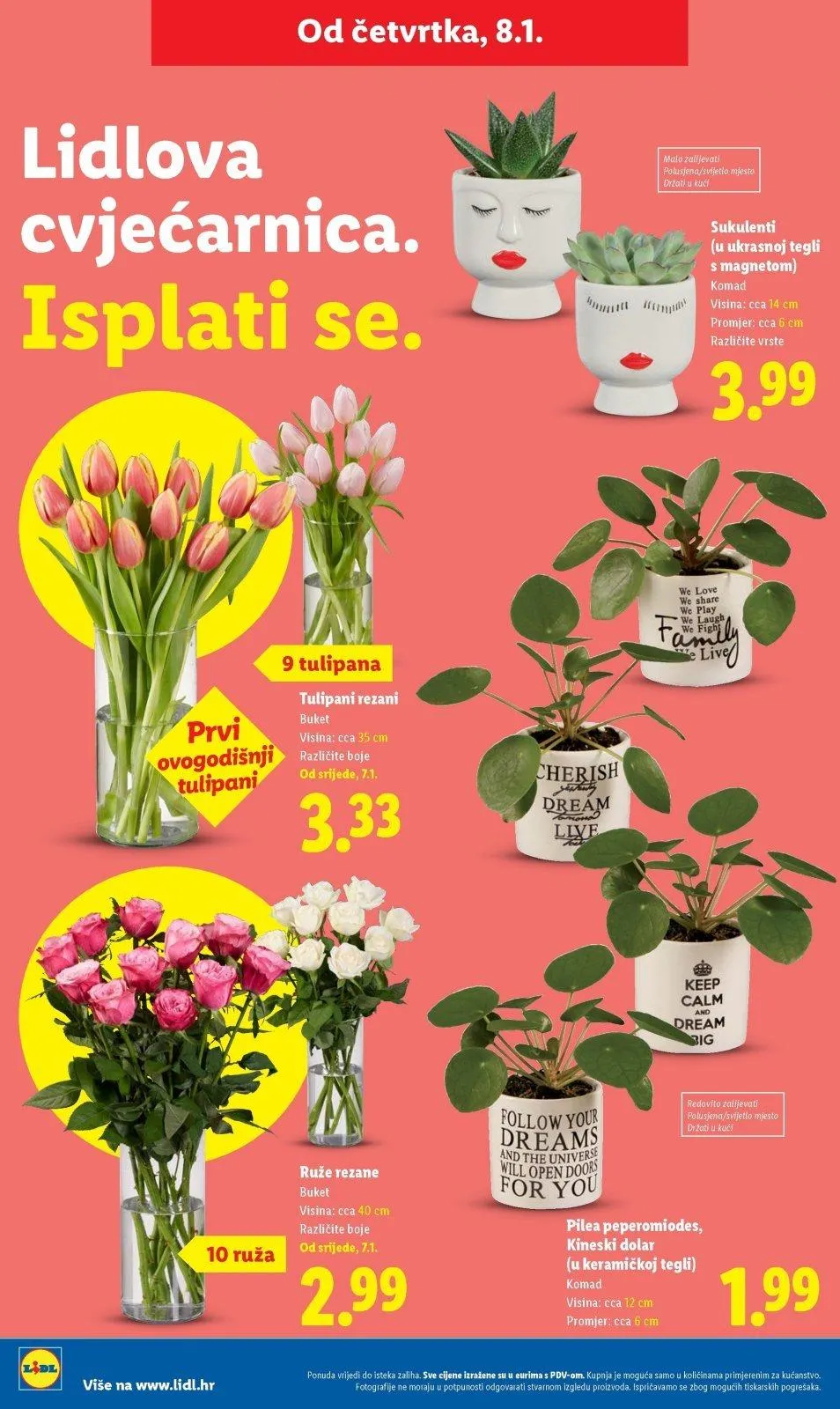 Katalog Lidl katalog do 11.01.2026 od 6. siječnja do 11. siječnja 2026. - Pregled Stranica 50