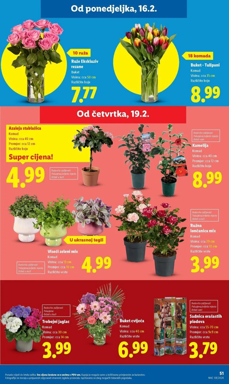 Katalog Lidl katalog do 21.02.2026 od 12. veljače do 21. veljače 2026. - Pregled Stranica 51