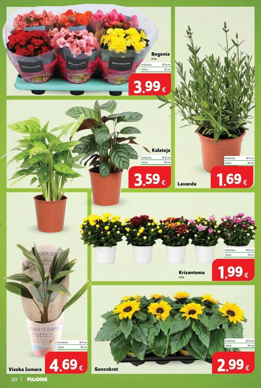 Katalog Plodine katalog do 30.06.2026 od 26. lipnja do 30. lipnja 2026. - Pregled Stranica 20