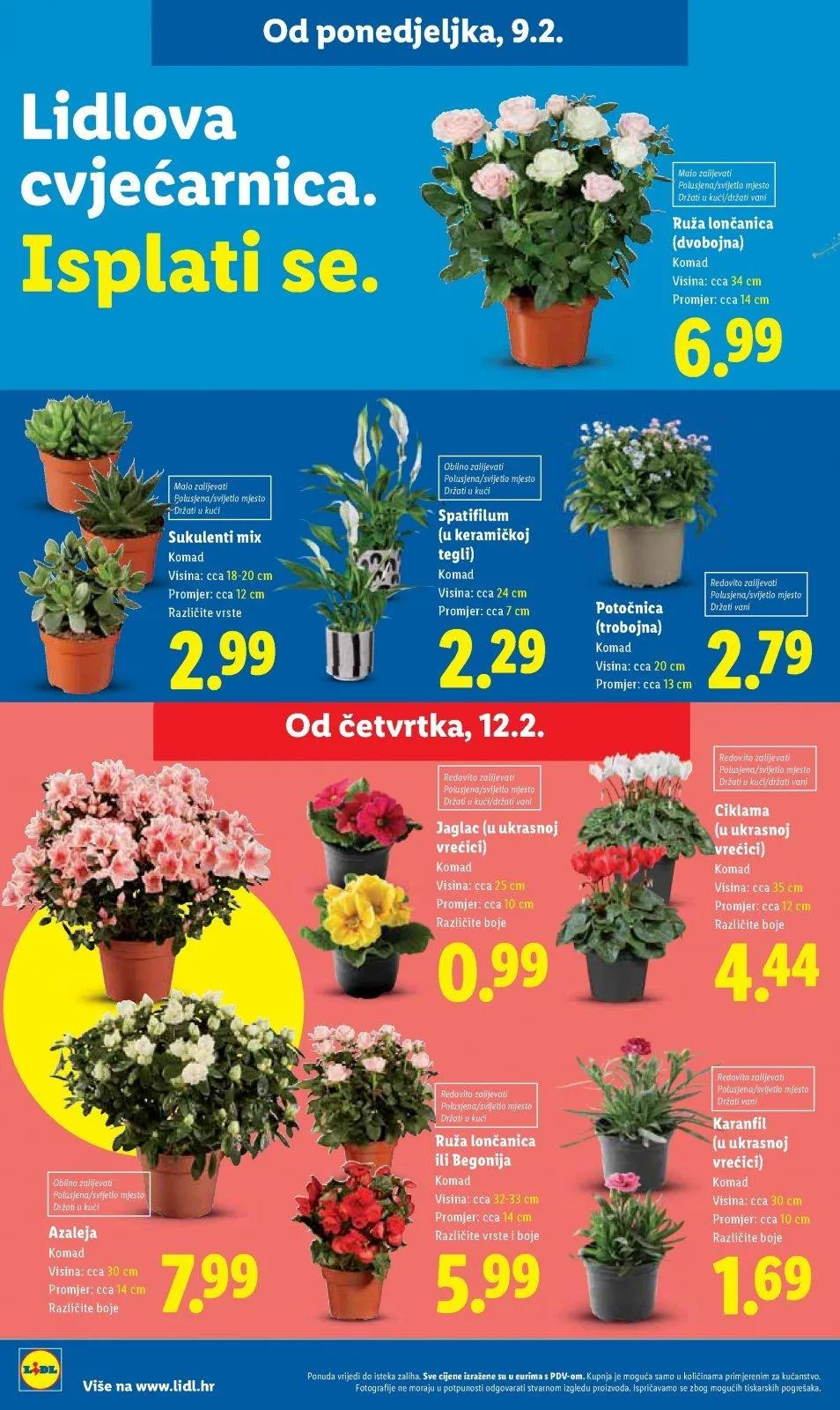 Katalog Lidl katalog do 14.02.2026 od 5. veljače do 14. veljače 2026. - Pregled Stranica 56