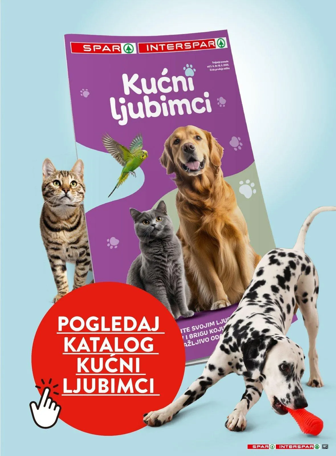 Katalog Interspar katalog do 16.06.2026 od 10. lipnja do 16. lipnja 2026. - Pregled Stranica 39