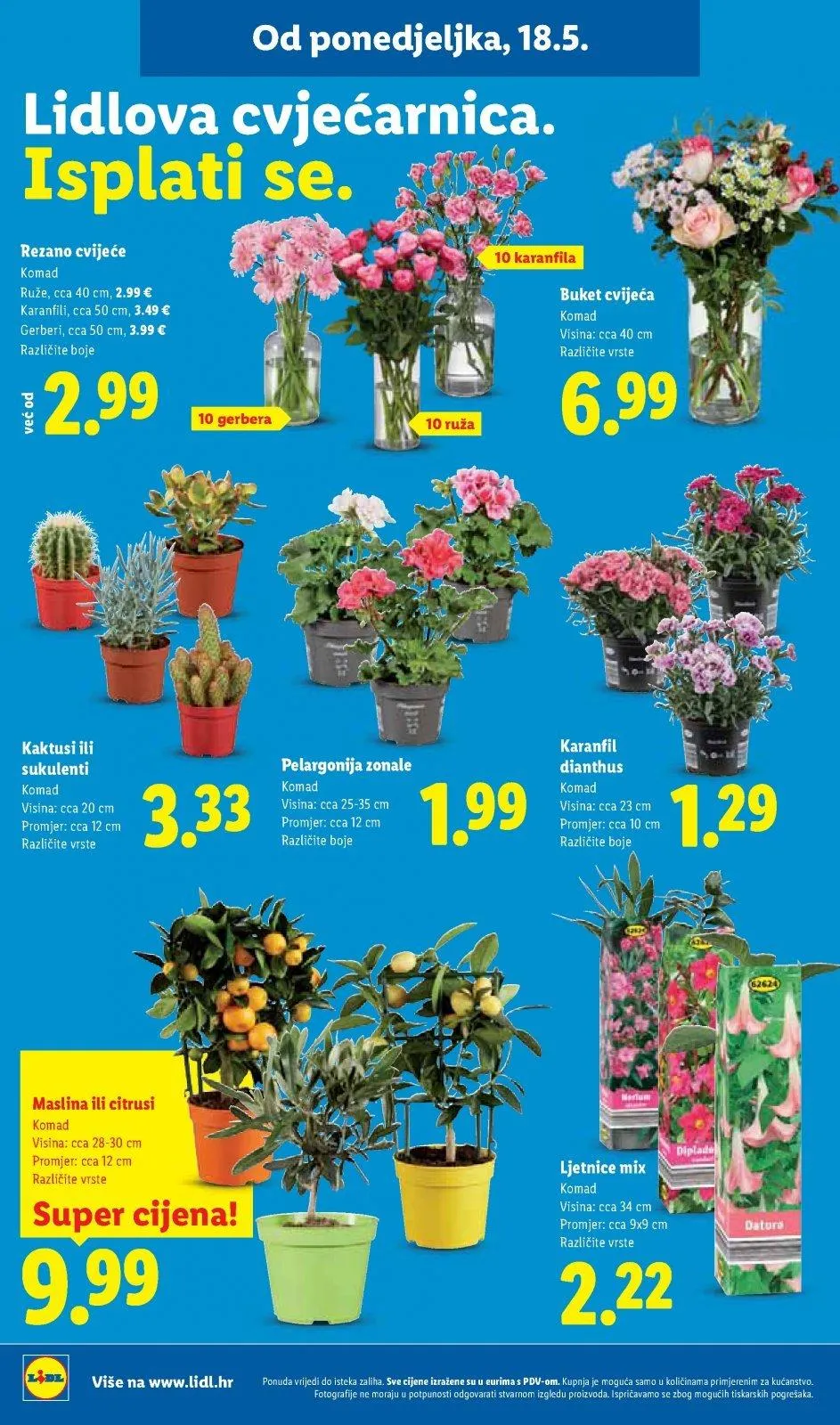 Katalog Lidl katalog do 24.05.2026 od 14. svibnja do 24. svibnja 2026. - Pregled Stranica 42