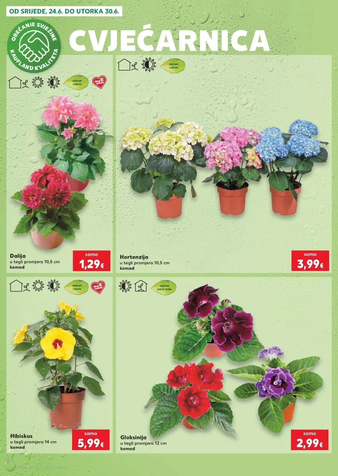 Katalog Kaufland katalog do 30.06.2026 od 25. lipnja do 30. lipnja 2026. - Pregled Stranica 2