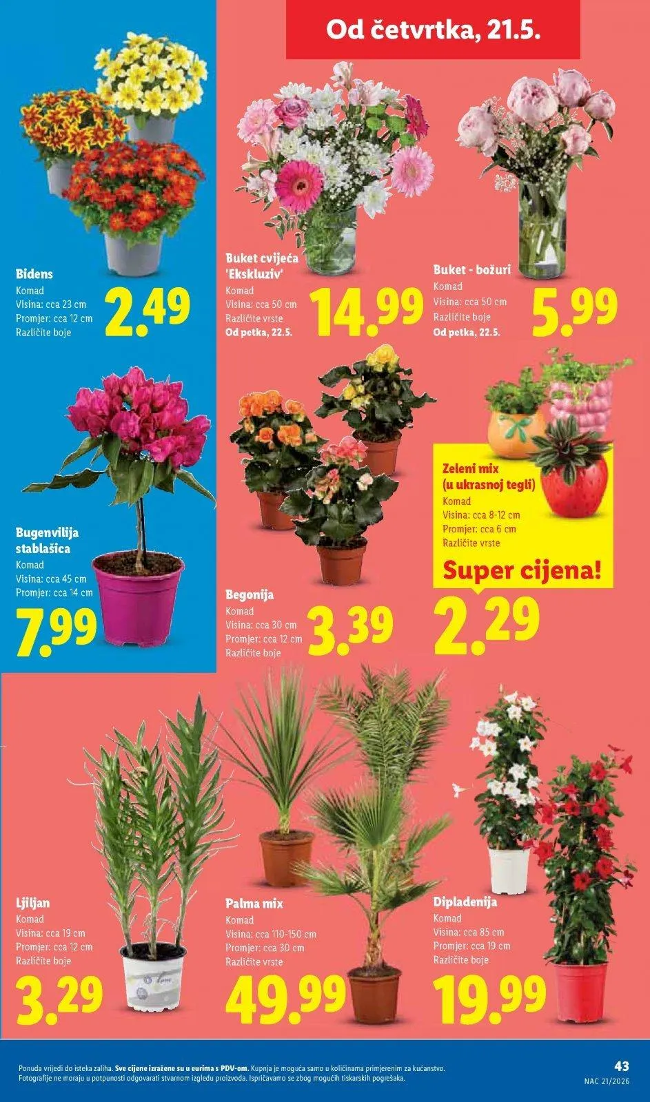 Katalog Lidl katalog do 24.05.2026 od 14. svibnja do 24. svibnja 2026. - Pregled Stranica 43