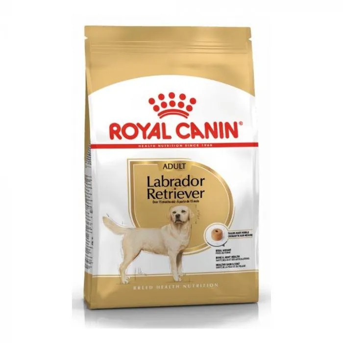 Royal Canin Labrador
