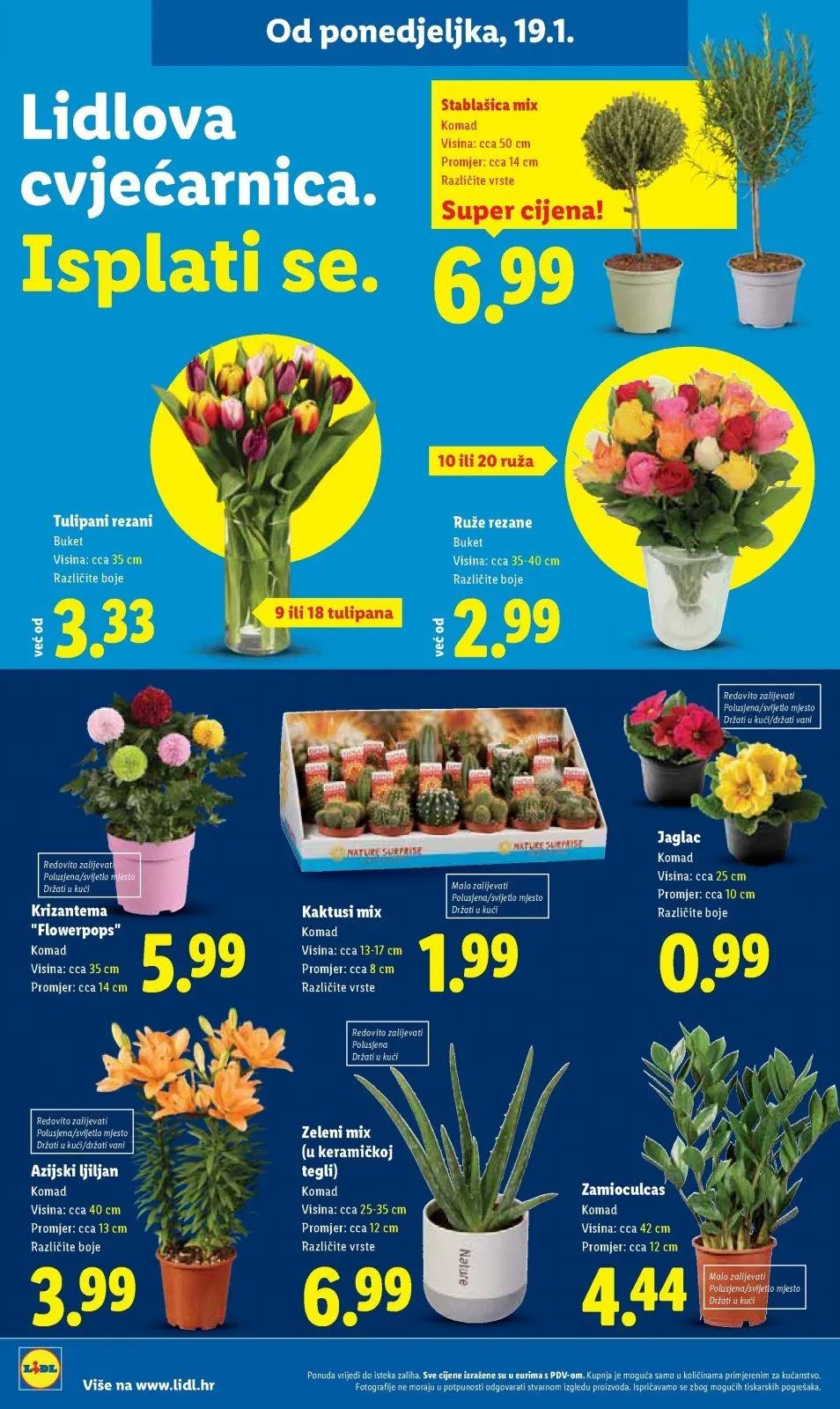 Katalog Lidl katalog do 25.01.2026 od 15. siječnja do 25. siječnja 2026. - Pregled Stranica 48