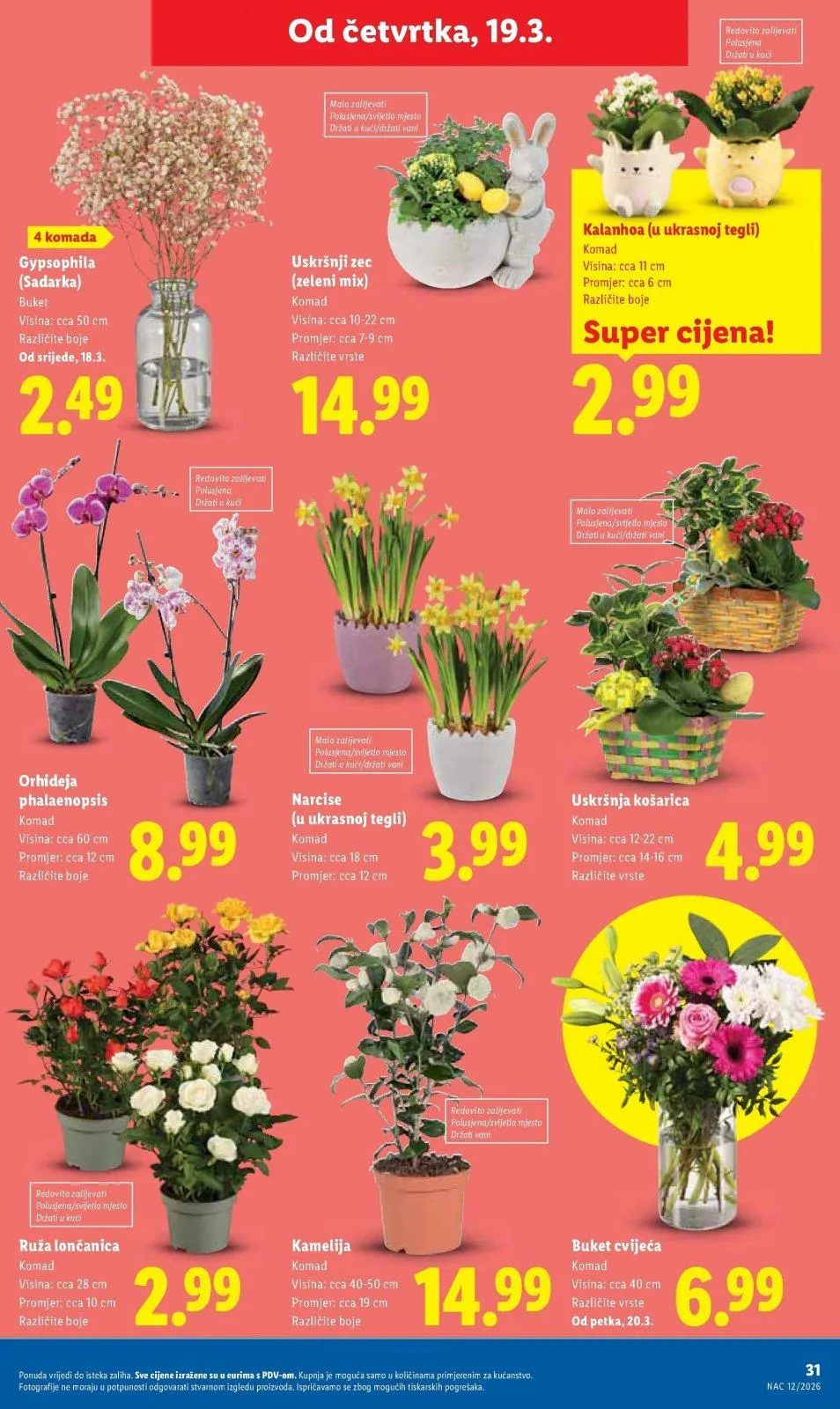 Katalog Lidl katalog do 22.03.2026 od 12. ožujka do 22. ožujka 2026. - Pregled Stranica 31