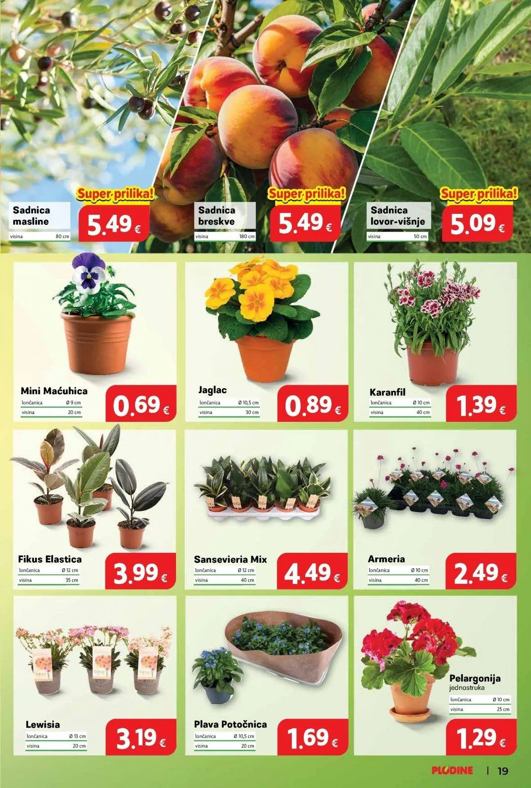 Katalog Plodine katalog do 17.03.2026 od 12. ožujka do 17. ožujka 2026. - Pregled Stranica 19