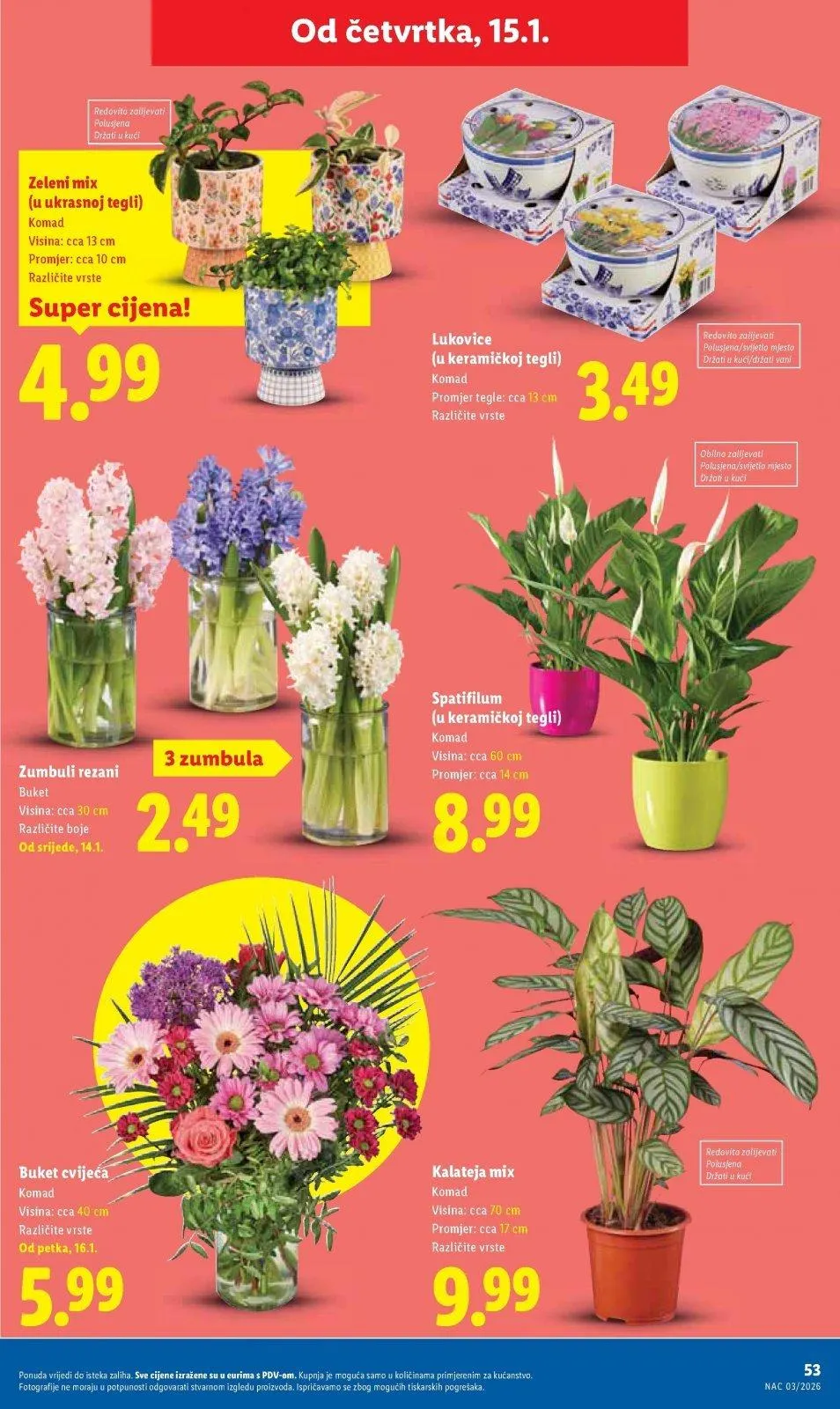 Katalog Lidl katalog do 18.01.2026 od 15. siječnja do 18. siječnja 2026. - Pregled Stranica 53