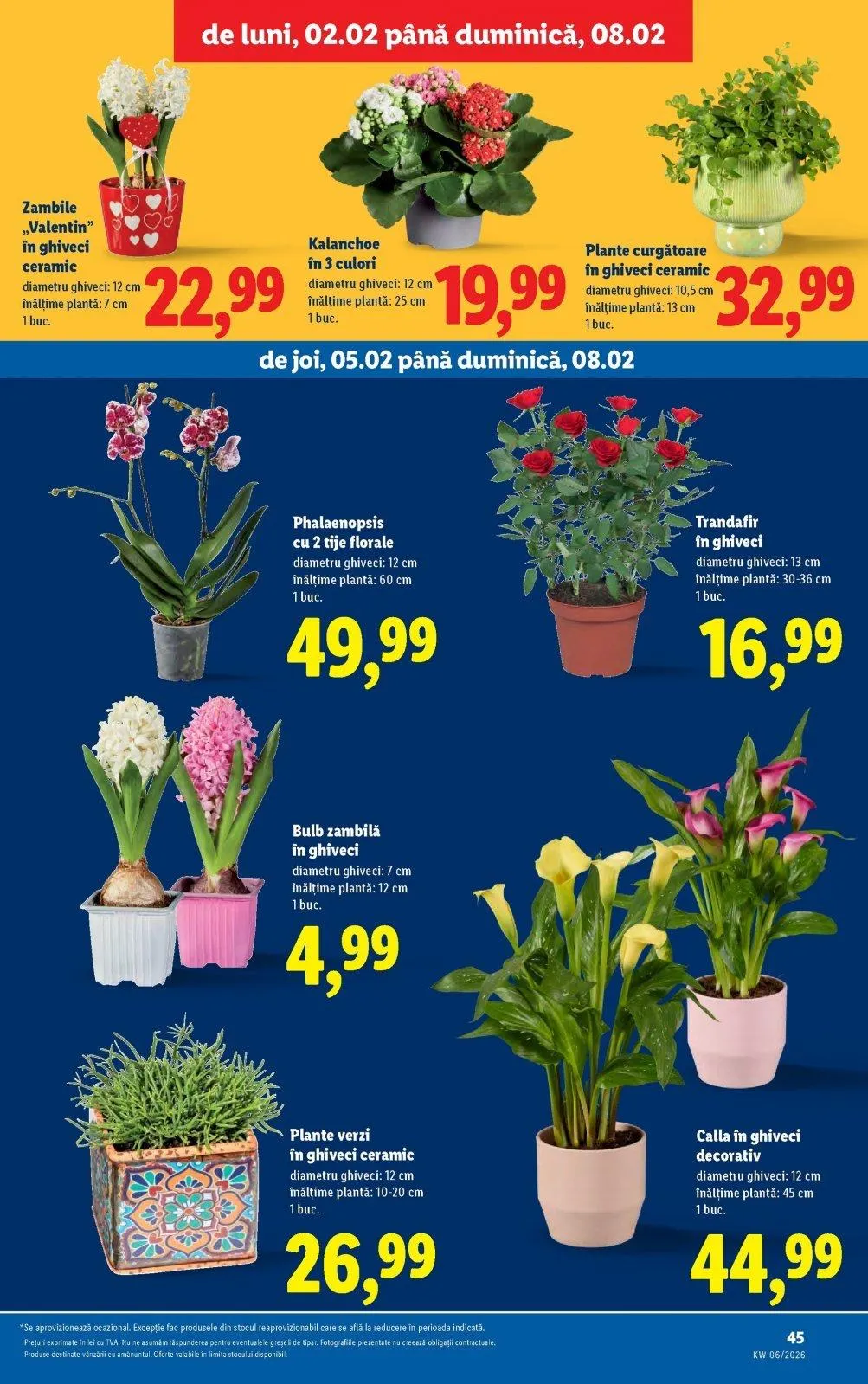 Katalog Lidl katalog do 08.02.2026 od 29. siječnja do 8. veljače 2026. - Pregled Stranica 45