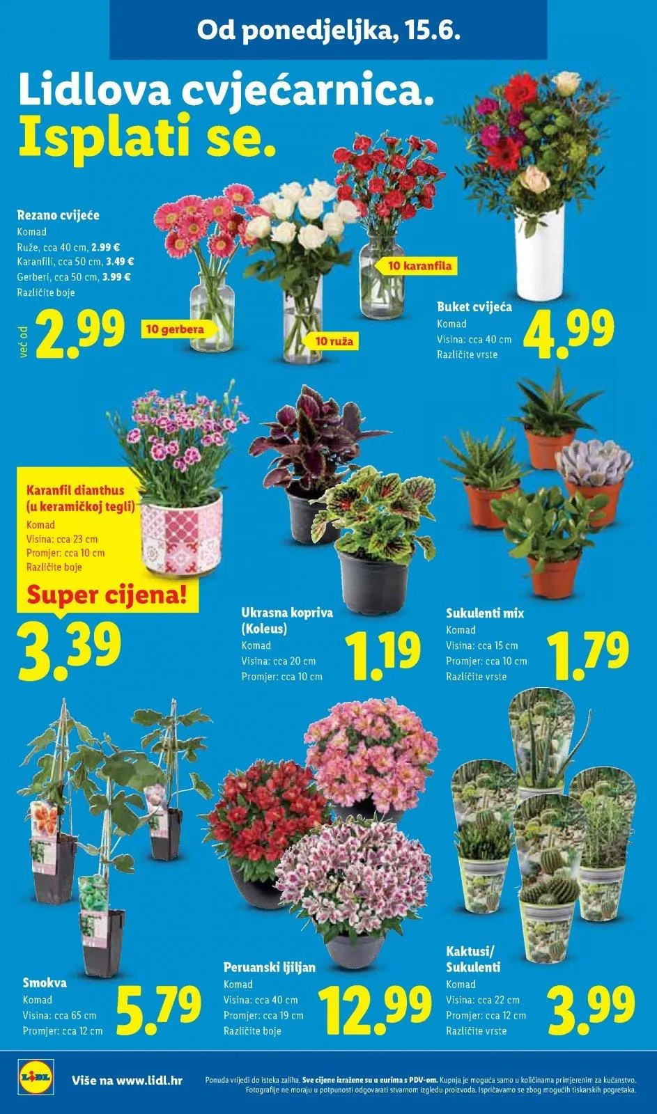 Katalog Lidl katalog do 21.06.2026 od 11. lipnja do 21. lipnja 2026. - Pregled Stranica 46