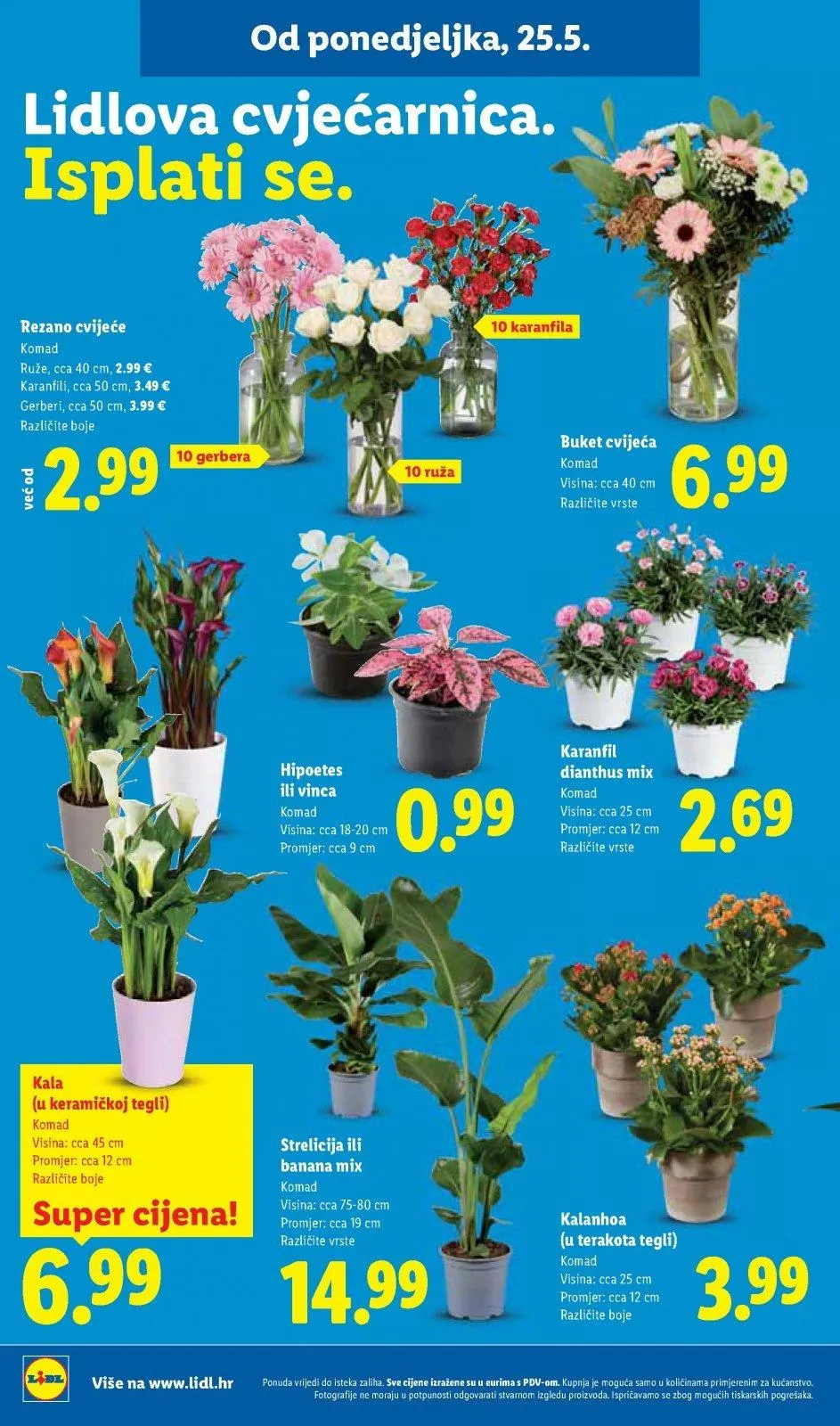 Katalog Lidl katalog do 31.05.2026 od 21. svibnja do 31. svibnja 2026. - Pregled Stranica 40