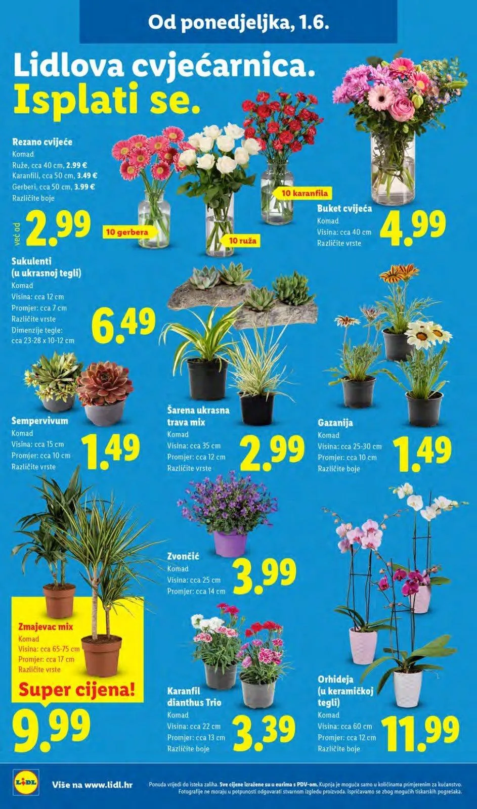 Katalog Lidl katalog do 07.06.2026 od 28. svibnja do 7. lipnja 2026. - Pregled Stranica 46