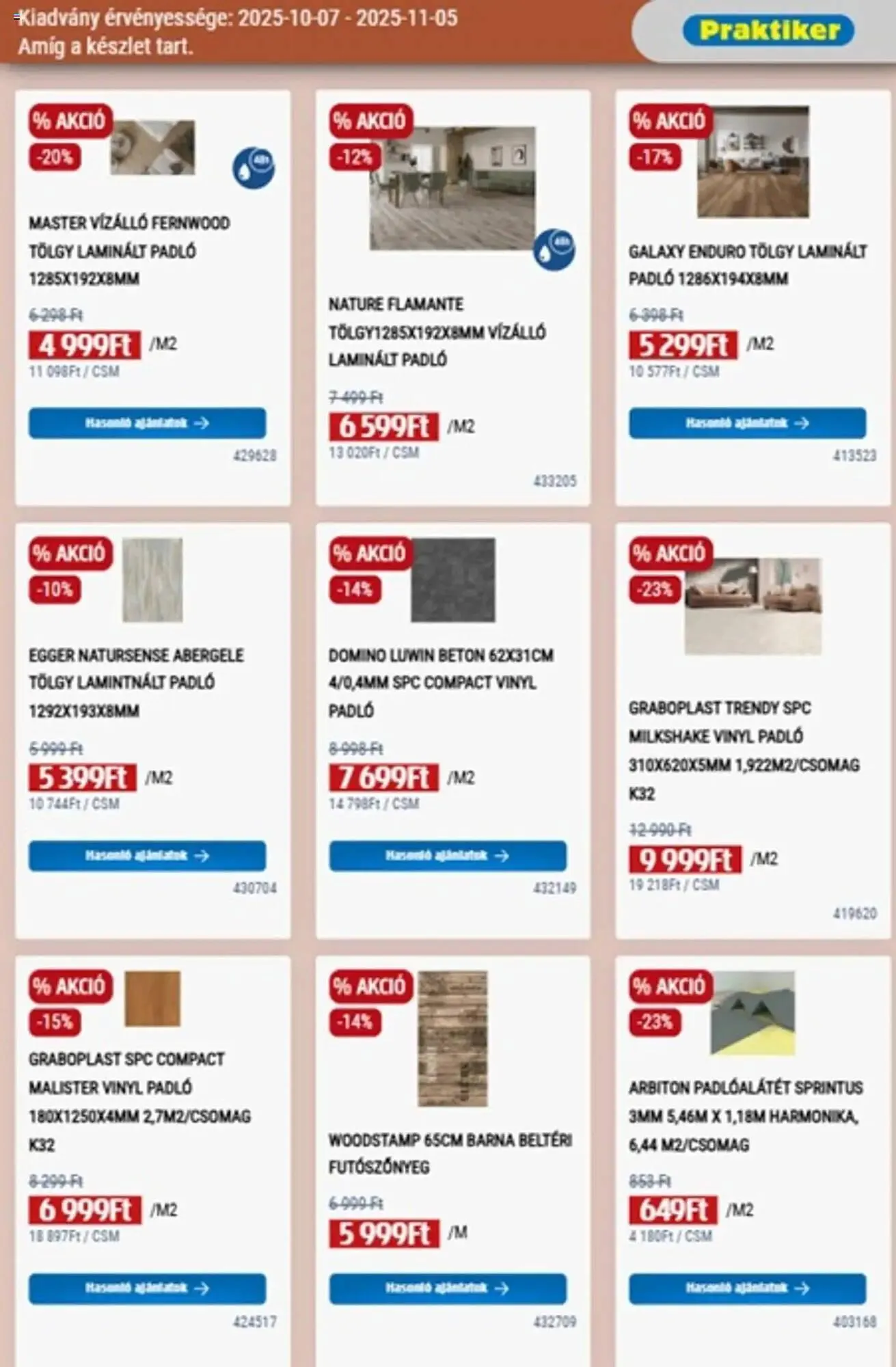 Katalógus Praktiker akciós újság október 7.-tól november 5.-ig 2025. - Oldal 21