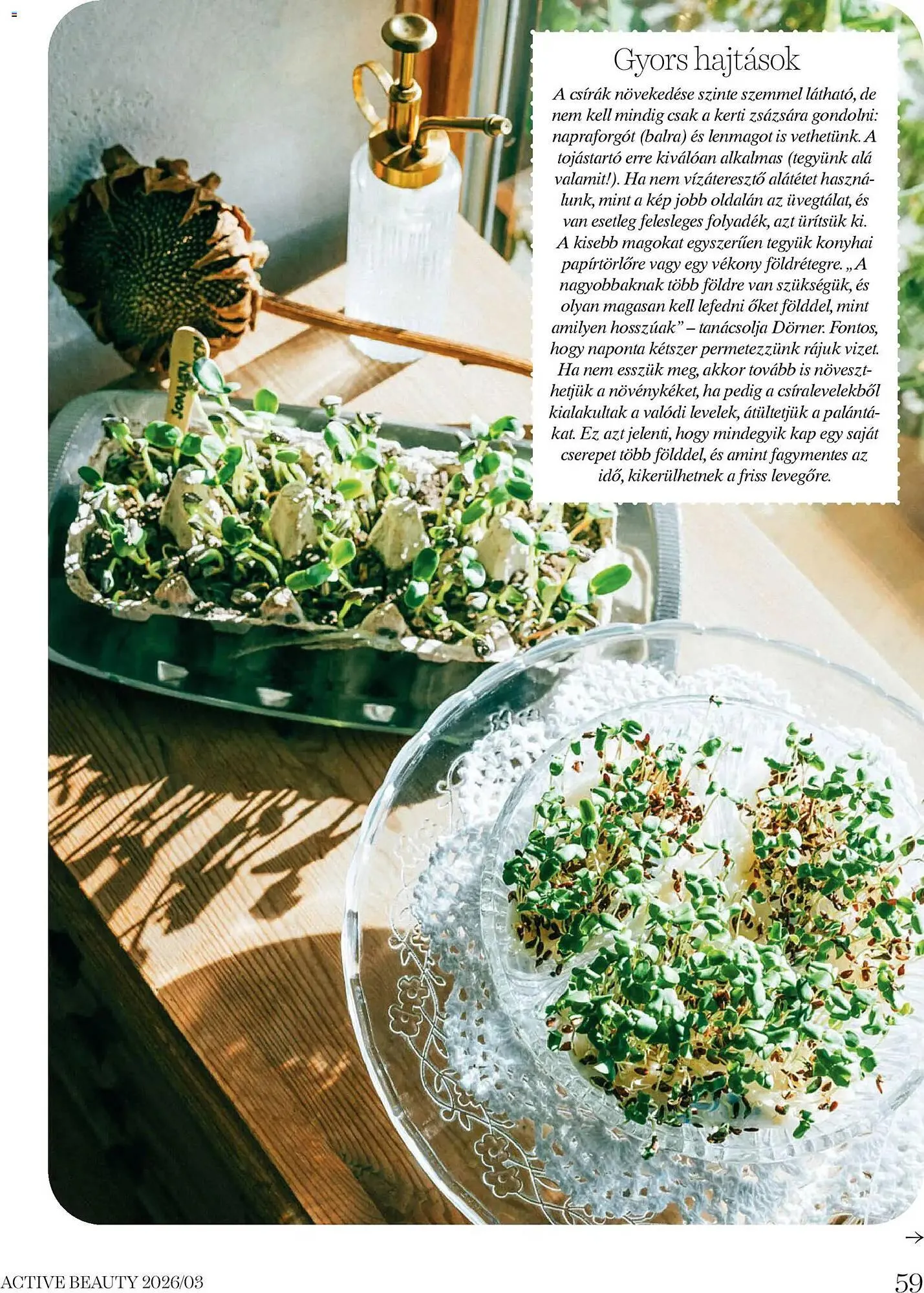 Katalógus DM akciós újság március 26.-tól április 30.-ig 2026. - Oldal 59