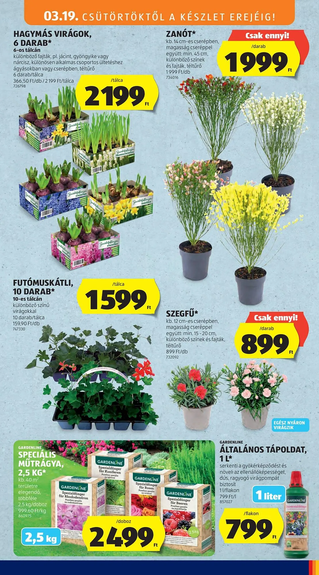 Katalógus ALDI akciós újság március 19.-tól március 25.-ig 2026. - Oldal 51