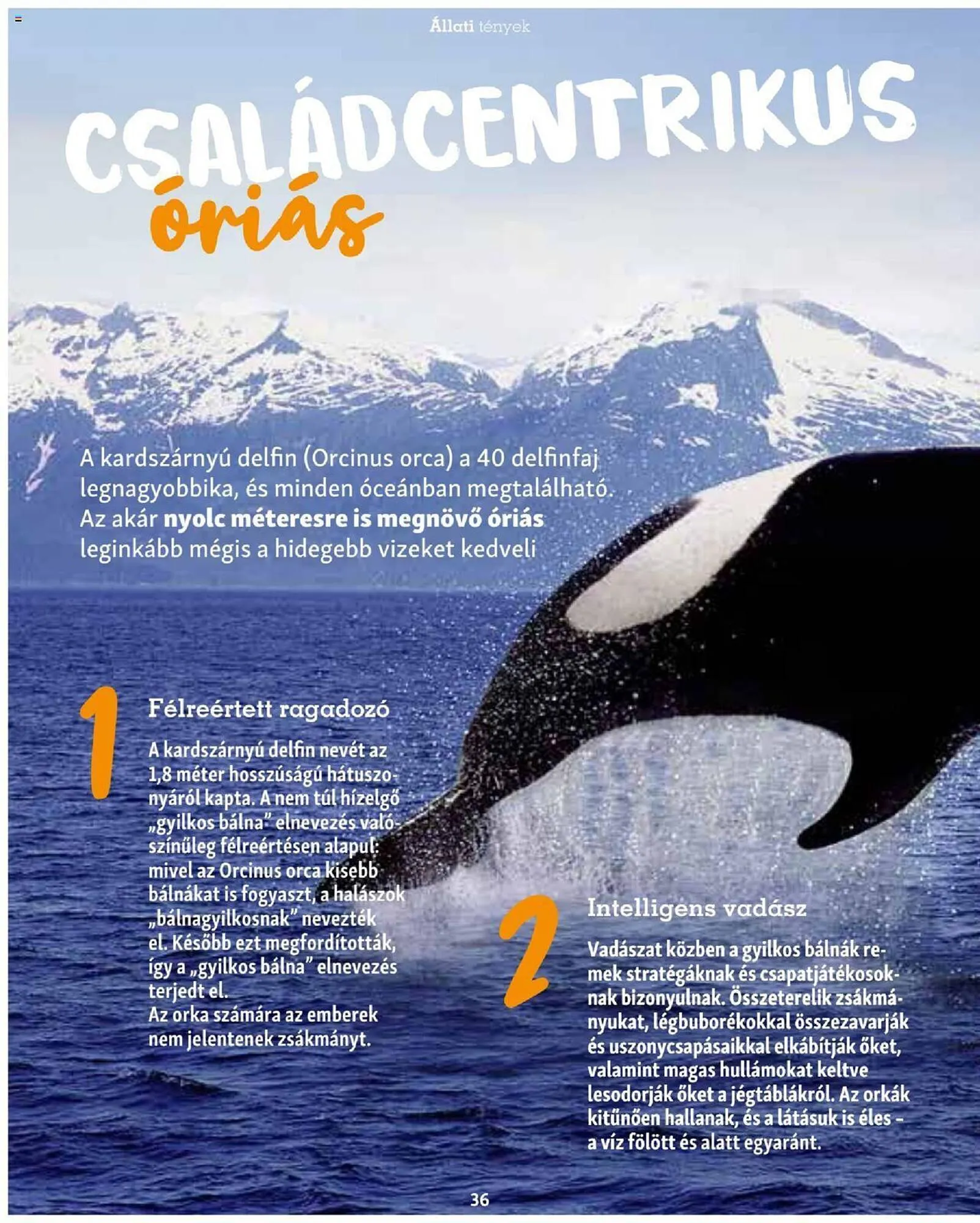 Katalógus Fressnapf akciós újság szeptember 25.-tól november 30.-ig 2023. - Oldal 36