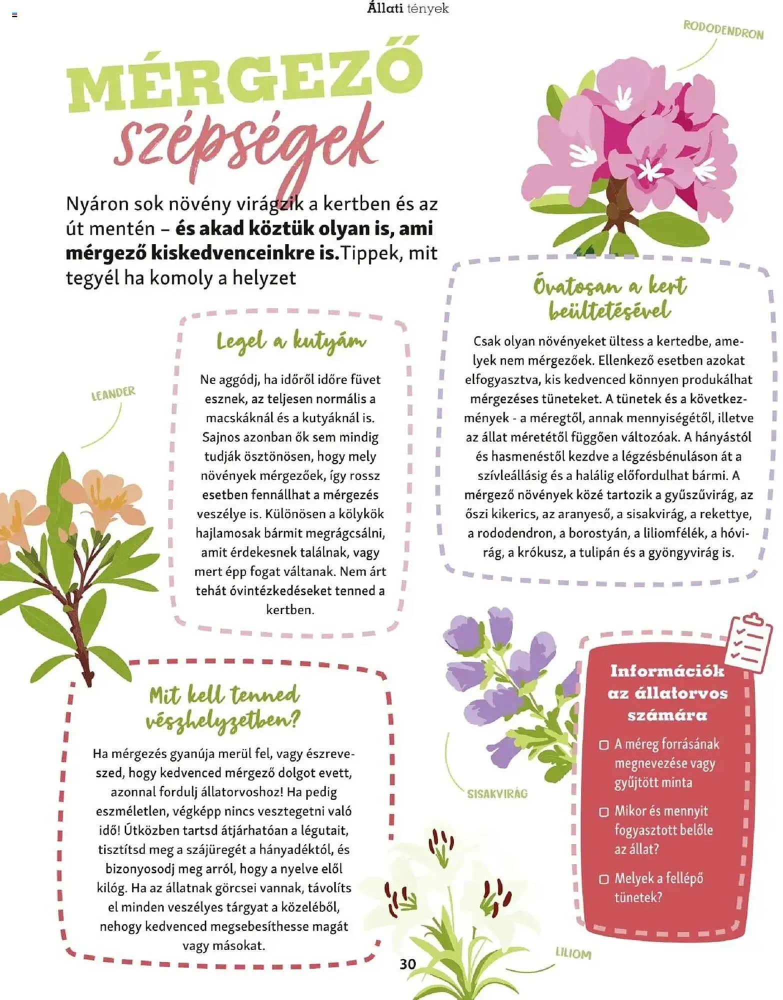 Katalógus Fressnapf akciós újság május 5.-tól május 13.-ig 2025. - Oldal 30