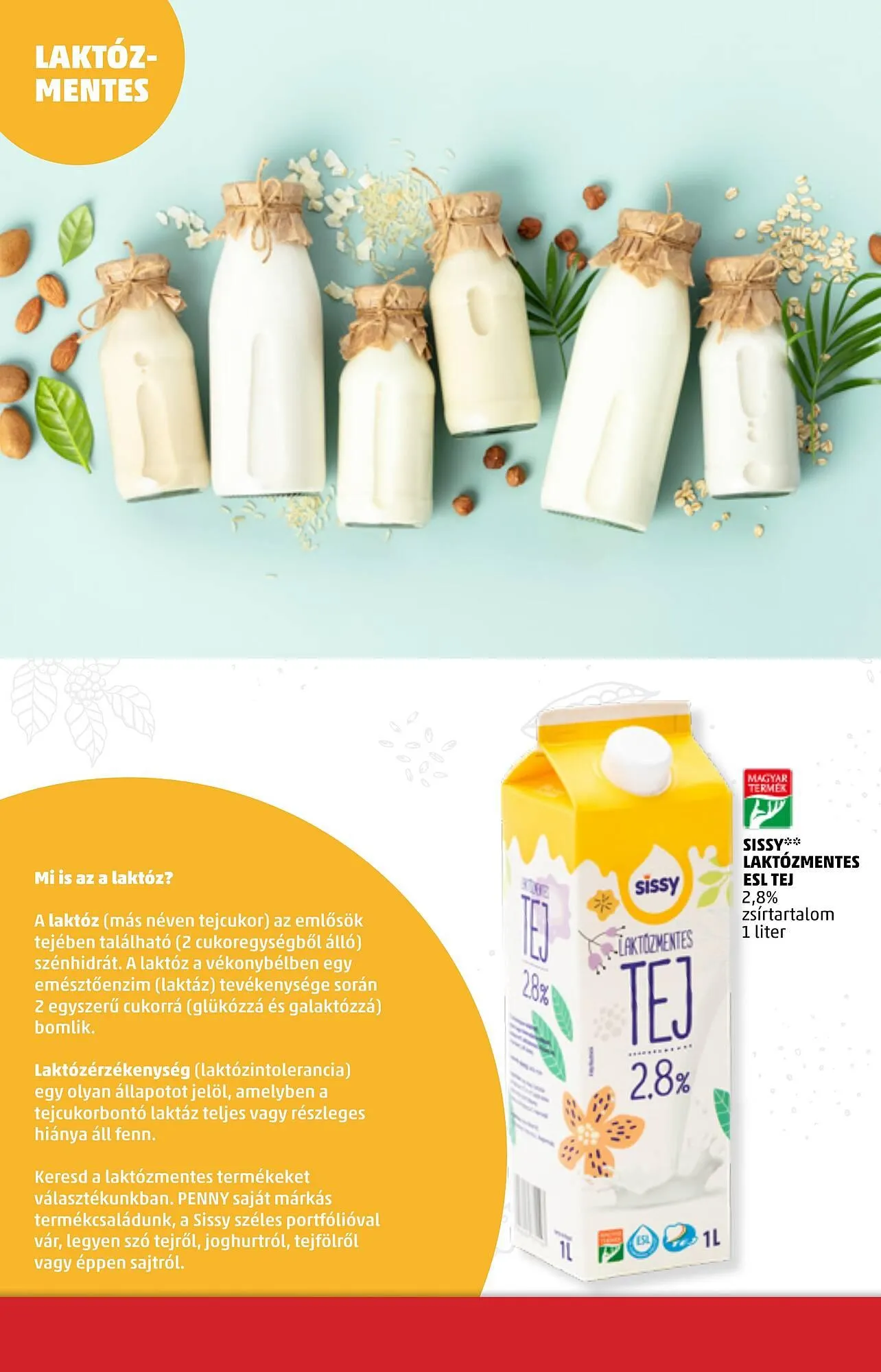 Katalógus PENNY akciós újság január 2.-tól december 31.-ig 2025. - Oldal 2