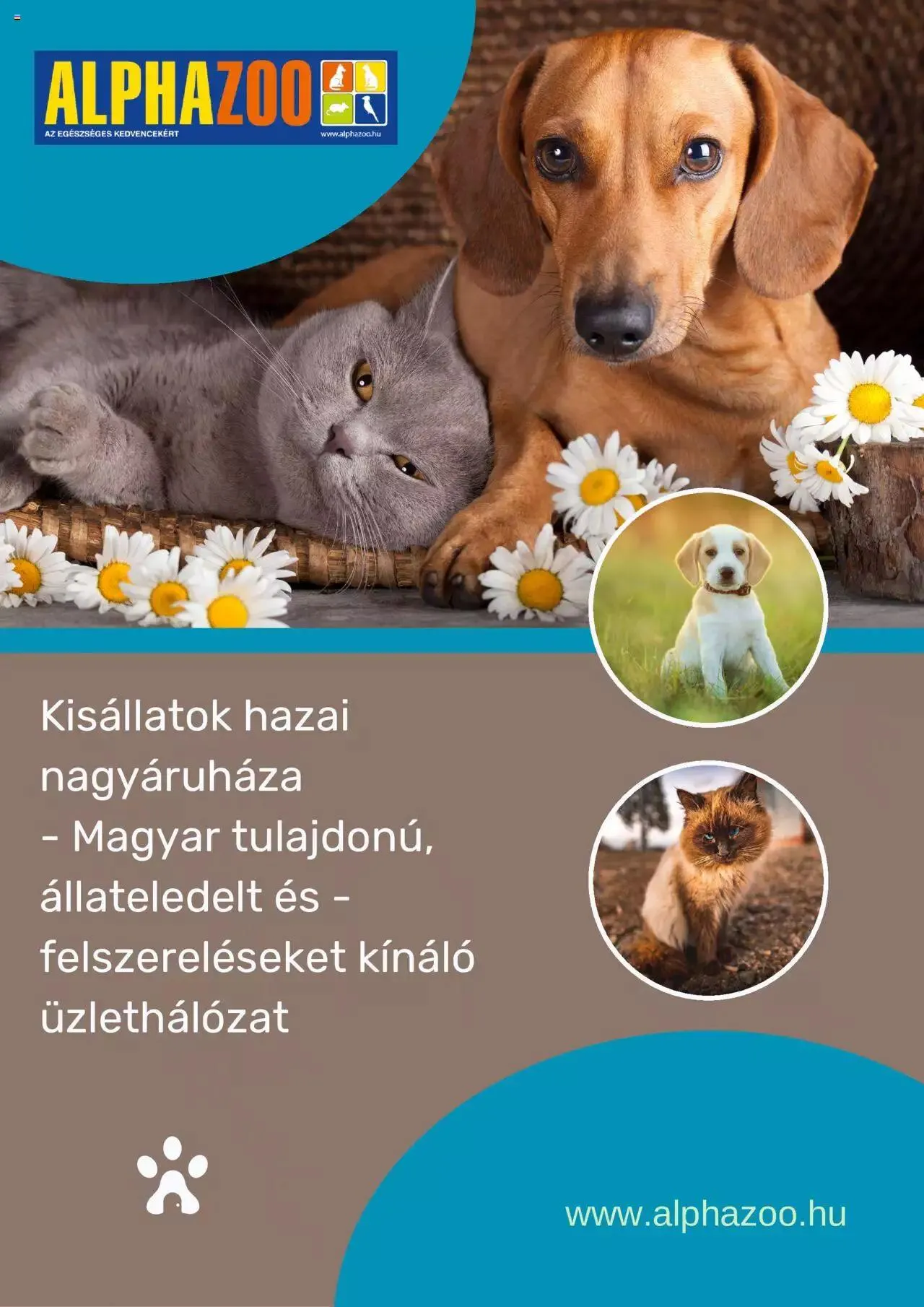 Katalógus AlphaZoo - Akciós újság május 22.-tól december 31.-ig 2023. - Oldal 1