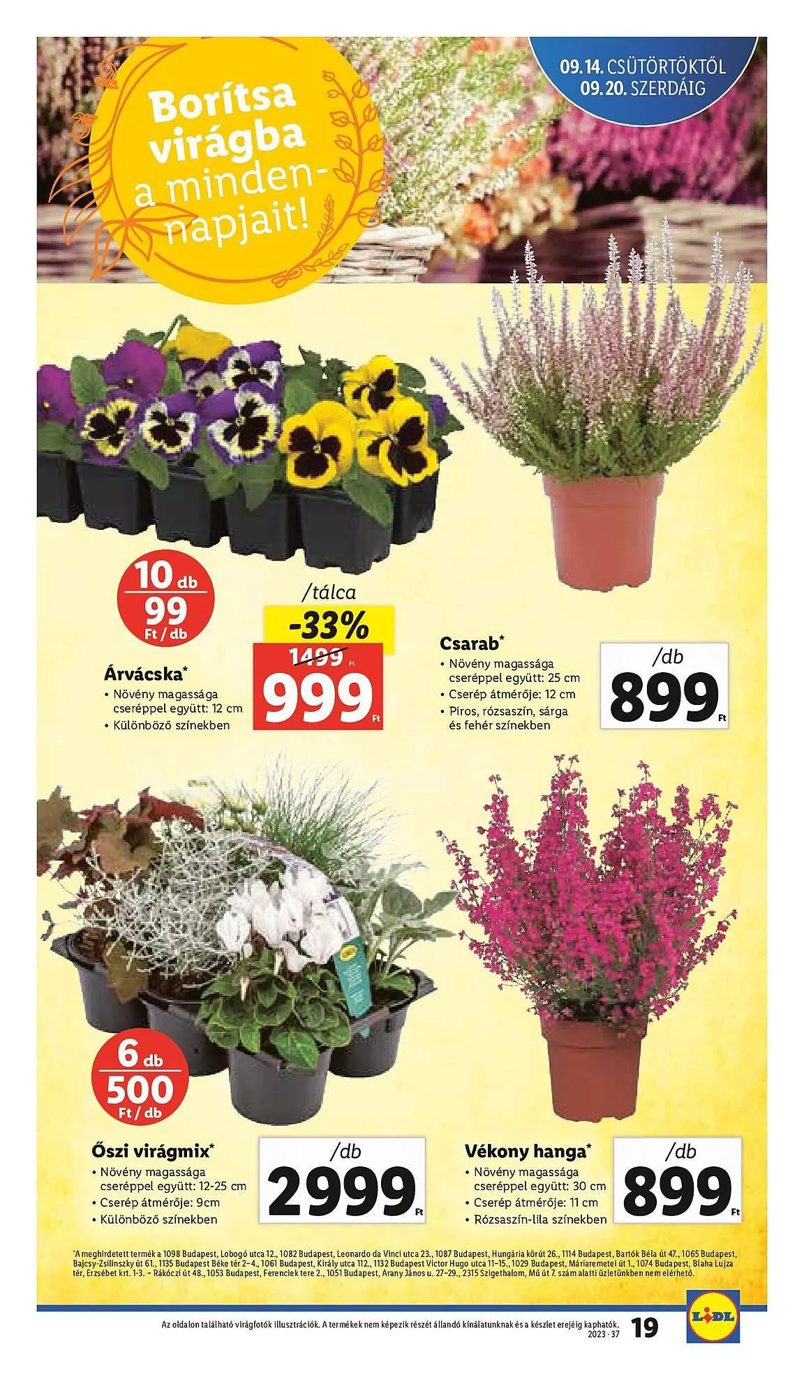 Katalógus Lidl akciós újság szeptember 14.-tól szeptember 20.-ig 2023. - Oldal 19