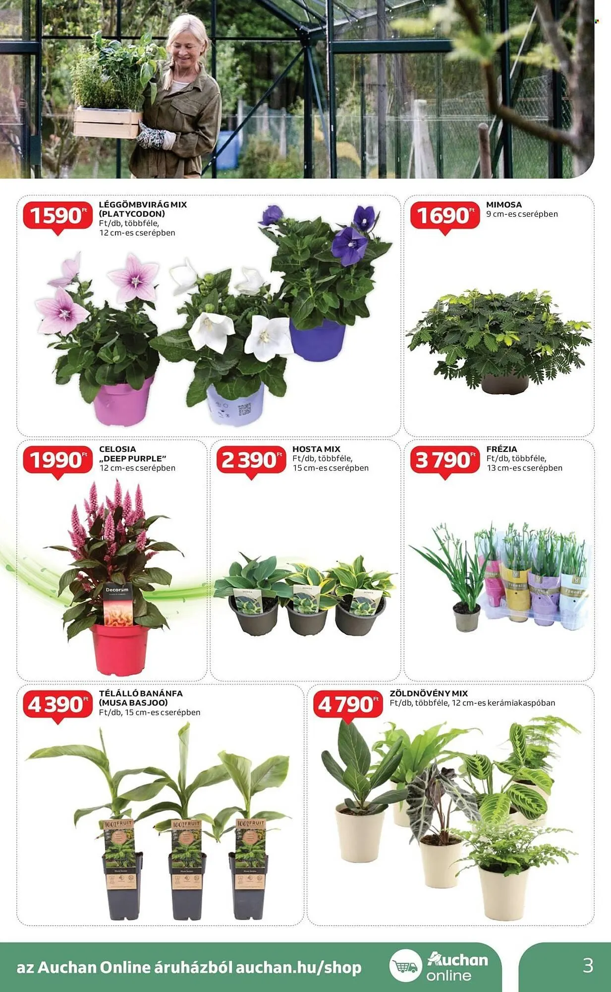 Katalógus Auchan akciós újság április 24.-tól május 14.-ig 2025. - Oldal 3