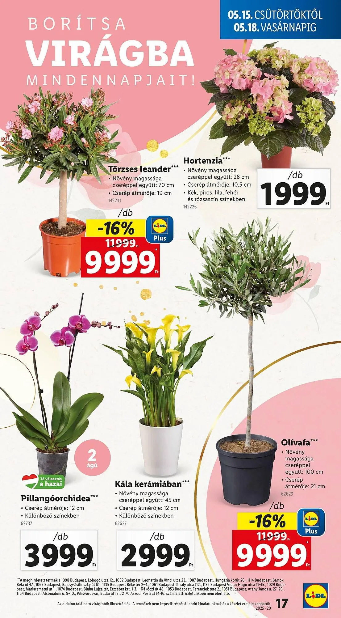 Katalógus Lidl akciós újság május 15.-tól május 21.-ig 2025. - Oldal 17
