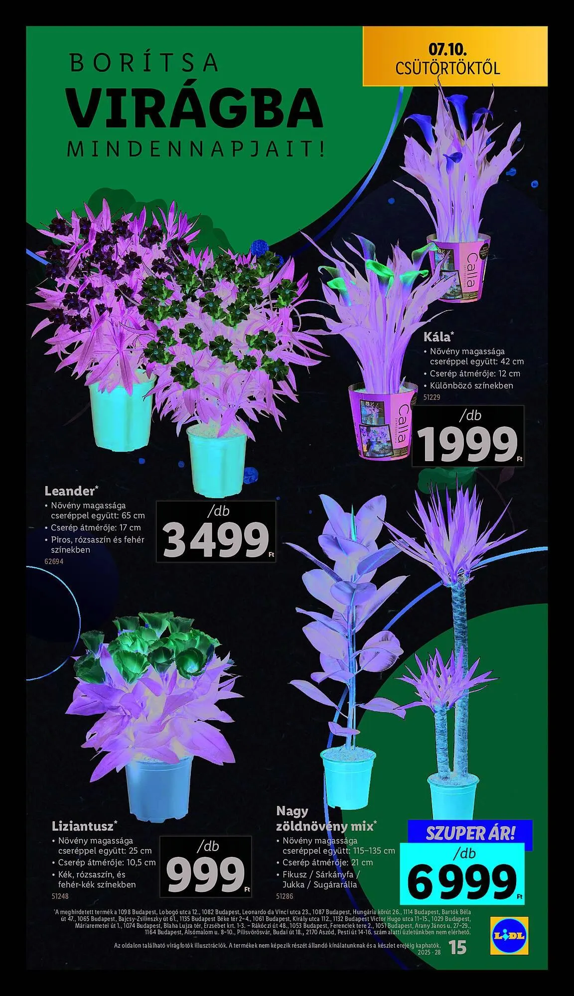Katalógus Lidl akciós újság július 10.-tól július 16.-ig 2025. - Oldal 15